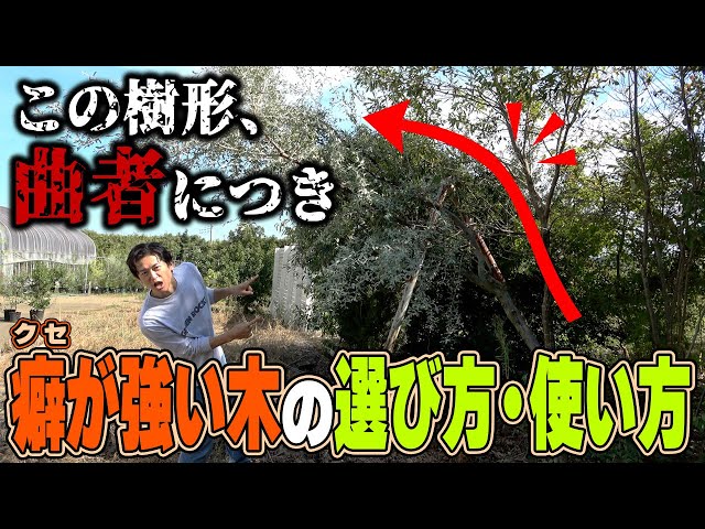 The opposite choice] Create a super natural garden with strangely
