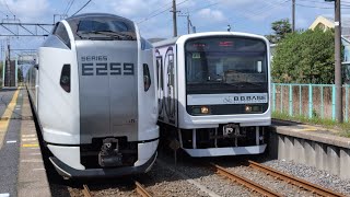 E259系特急しおさい10号東京行と快速BBBASE佐倉銚子号の2本による発着するシーンを飯岡駅より撮影