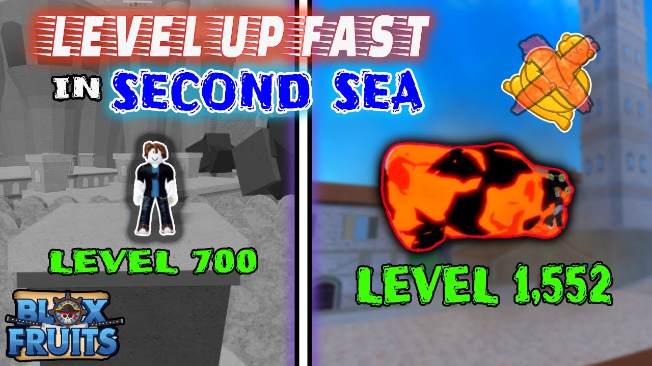 Second Sea Leveling Guide