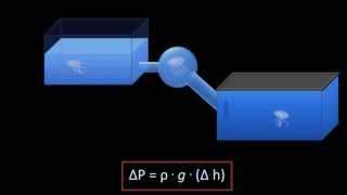 Hydrostatic Pressure (Fluid Mechanics - Lesson 3)