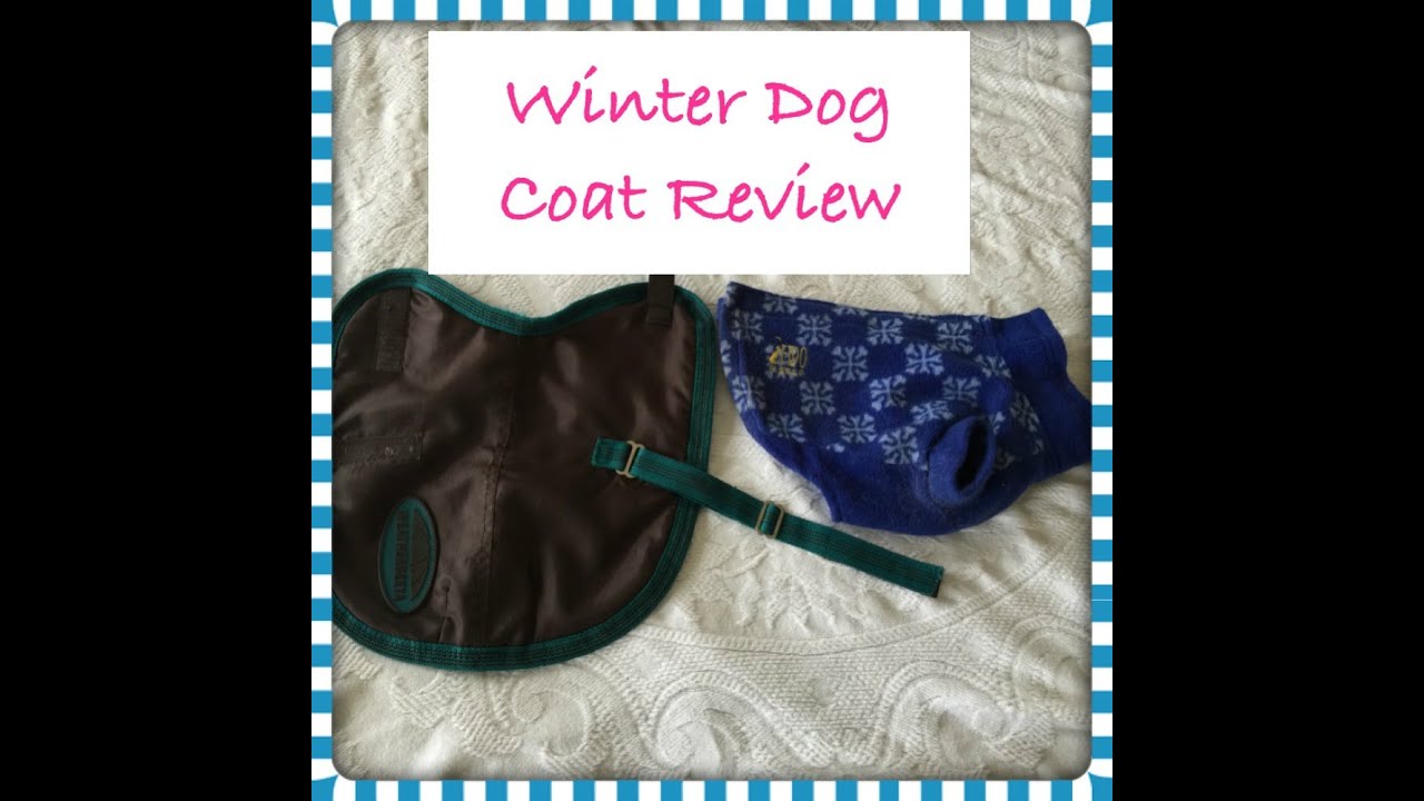 Winter Dog Coat Review YouTube