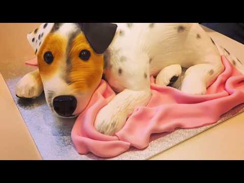 dog-cake-(jack-russell)---toffee