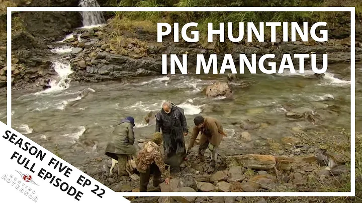Hunting Aotearoa Series 5 EP22 Pig hunting in Mangatu