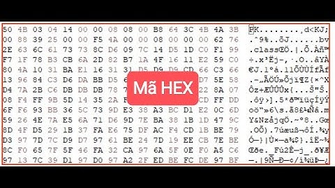 Hướng dẫn chuyển đổi mã hex sang chữ