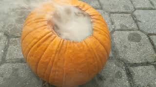 PYRO PUMPKIN  2019