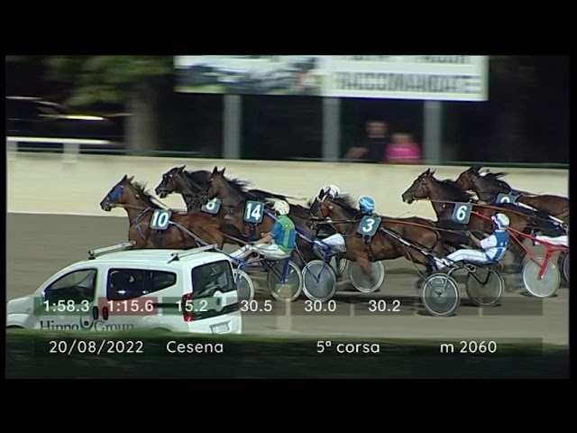 2022 08 20 | Corsa 5 | Metri 2060 | Premio Mostra Nazionale Del Cavallo