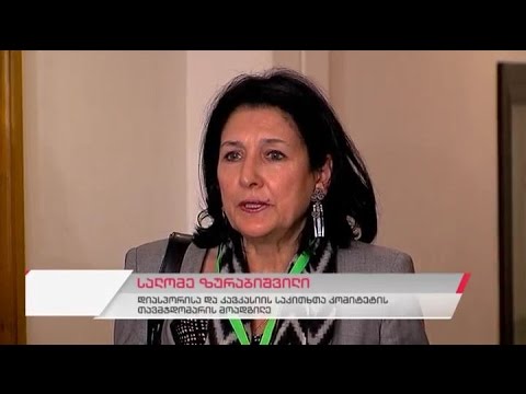 დიასპორისა და კავკასიის საკითხთა კომიტეტის სხდომა