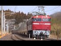 2025.2.10臨時特急カシオペア返却回送(東北線)【チラ雪】