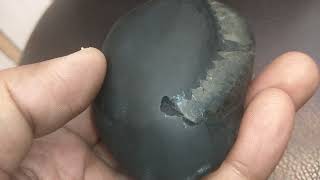 Shimshumara Shaligram