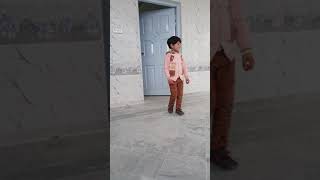 , Bibi Sherene Pashto Famous Song