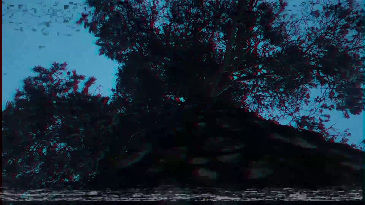 Guarda decay su YouTube Guarda decay su YouTube