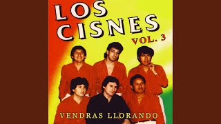 Video thumbnail of "LOS CISNES 90 - Tristeza"