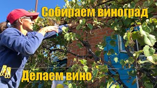 #33 Жизнь в деревне! Собираем виноград и учимся делать домашнее вино.