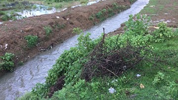 Mudichur Seekana Channel Post Restoration by E.F.I