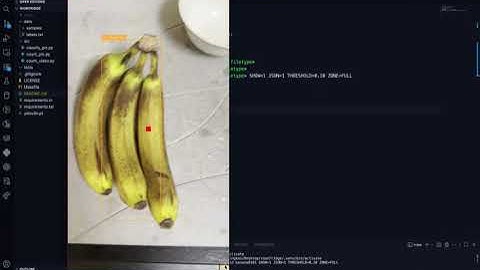 UCI EECS 159 Vion Fridge Week 6 Video Identification & Count
