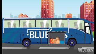 Blue Bus | ليه تحتار وبلو باص هو أحسن أختيار