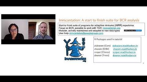 Reconstruction and analysis of B cell lineage trees from single cell data using Immcantation