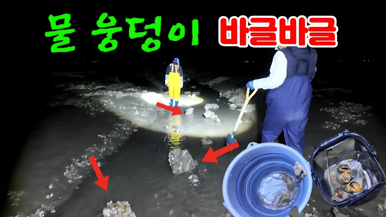 잠겨있던 바다속 물골에 걷기만 해도 온갖 안주가 가득