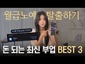 &quot;시작하자 마자 바로!?&quot;한달 만에 월 300만 벌었던 부업 추천 3가지💸 방법까지 총정리! │돈버는법,직장인부업,재택부업,부업추천