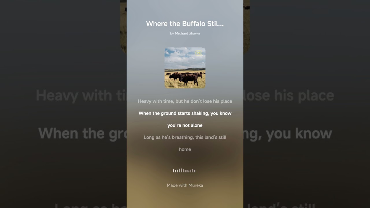 Where the Buffalo Still Roam