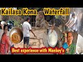 Kailasa kona waterfall  best experience with monkey  monkey   village  authentic food