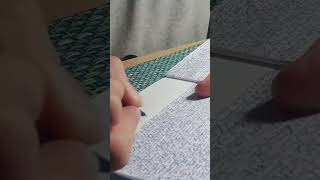 The journey begins... #hypergraphia #journaling #bicpen #writer #shorts