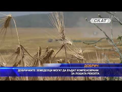 Видео: Неблагоприятни климатични събития в Русия