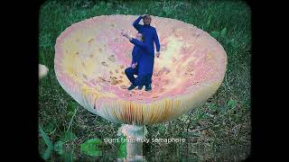 Basal Tears - Rivulet