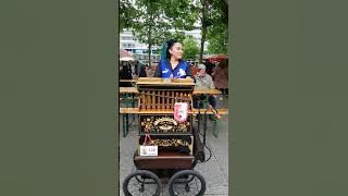 40. Drehorgelfest Berlin 2019 - 