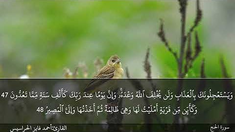 الصفحة 338 سورة الحج بصوت القارئ المهندس أحمد فايز الحراسيس