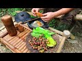 Wide Variety of Wild Food: Survival Alone In The Rainforest | EP.91