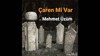 Mehmet Üzüm Gül Yüzünü Resimi