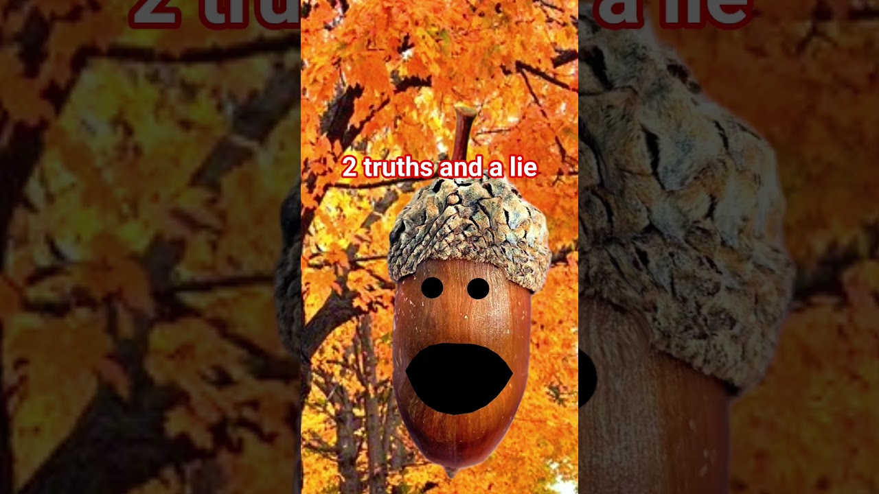 2 truths and a lie be like...