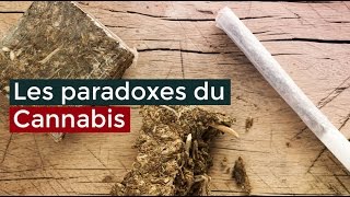 Les paradoxes du Cannabis - Documentaire français 2017