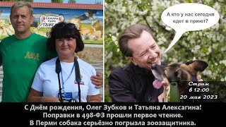 Стрим: в Тайгане праздники, зоозащита ненавидит Бурматова, Велес и Спаси меня опять в повестке дня