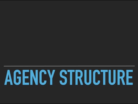 What is the organizational structure of  an Advertising Agency