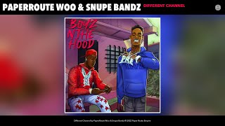 PaperRoute Woo - Different Channel (Official Audio) (feat. Snupe Bandz)