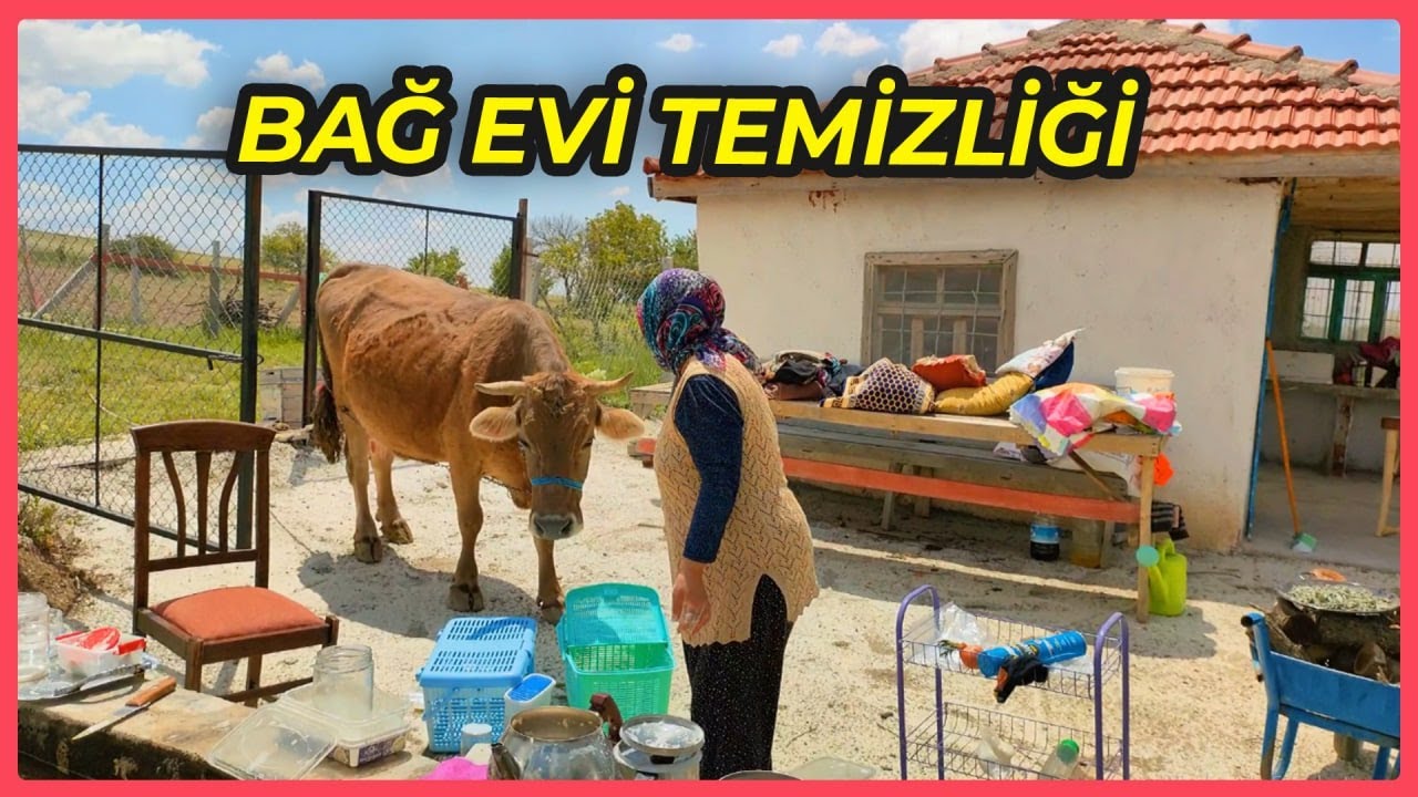 DAĞ EVİ / KÖY HAYATI / KÖYDE YAŞAM / KÖY VLOG