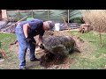 Moving a big rock with a hand truck, a lawn tractor and a willing wife.