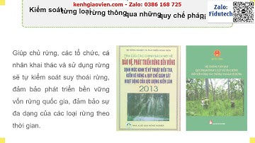 Giáo án PowerPoint Bài 2: Các hoạt động lâm... | GA điện tử Công nghệ 12 Lâm nghiệp - Thuỷ sản KNTT