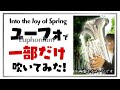 約20年ぶりにユーフォを吹いてみた！