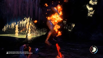 The Forest - All Cave Enemies