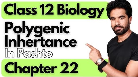Polygenic Inheritance | Class 12th Biology | Chapter Inheritance