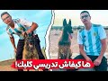 ها كيفاش تدريسي كلبك راسك بأسهل طرق  comment dresser un chien