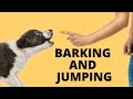 Why my dog barks and jumps on me when I leave or come home? Why my dog barks and jumps on me when I leave or come home?