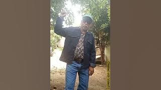 MENANTI DI BAWAH POHON KAMBOJA, Rani