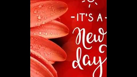 How to wash hands properly step by step | Hand Wash Guidelines for our Woodlanders