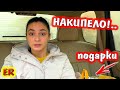 ПОКУПАЕМ ПОДАРКИ К НОВОМУ ГОДУ АЛИСЕ И ПИТОМЦАМ / АЛИСА ВЫСКАЗАЛАСЬ / НАКИПЕЛО / EASY ROSE