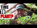 When To Plant Tomatoes Outside - Garden Quickie Episode 242