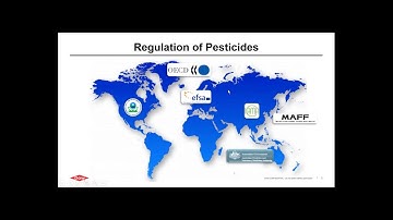 Global Evolution of Toxicity Testing and Assessment of Chemical Risk in the 21st Century
